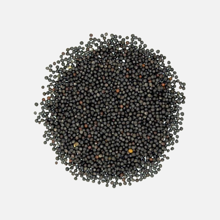Black Mustard Seed