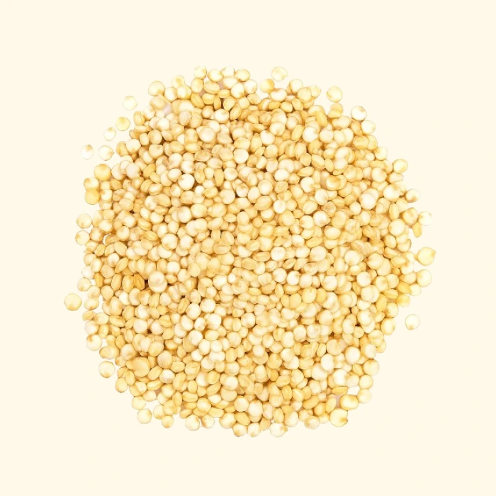 Quinoa Seeds