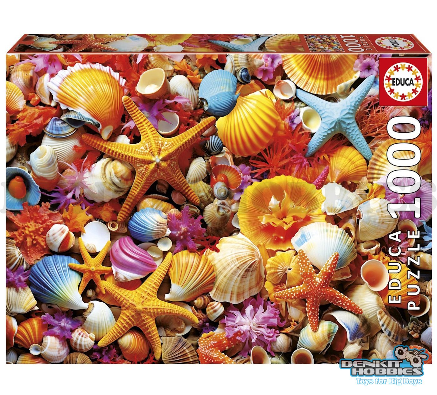 SHELL COLLAGE 1000 PIECE PUZZLE EDUCA