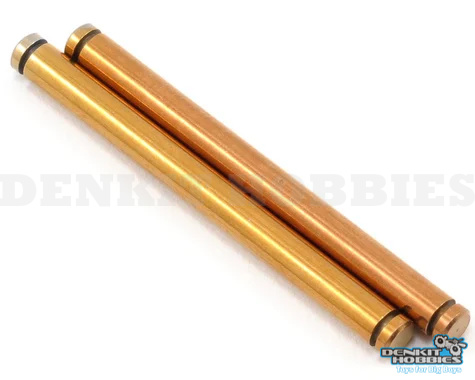 REAR OUTER HINGE PIN SET 22 1/10 TEAM LOSI RACING